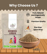Neemuch Ajwain - Premium Organic Carom Seeds