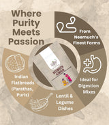 Neemuch Ajwain - Premium Organic Carom Seeds